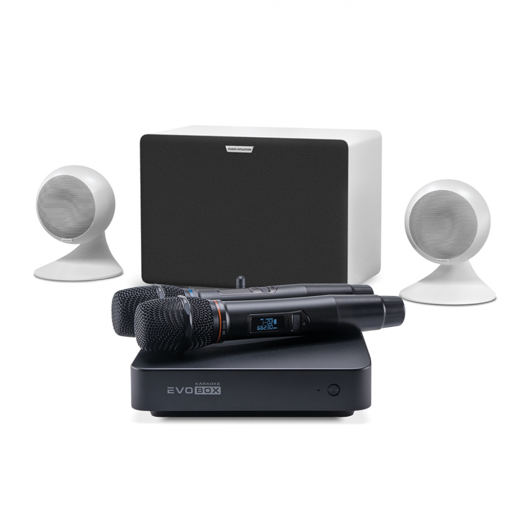 караоке-комплект EVOBOX Classic + EvoSound Sphere 2.1 в Орске