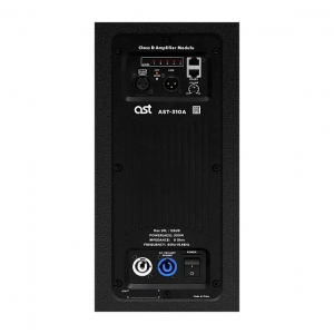 Активная акустическая система AST-310A в Орске
