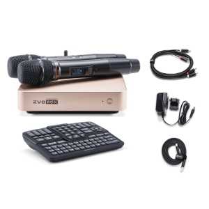 EVOBOX Classic караоке-система для дома в Орске